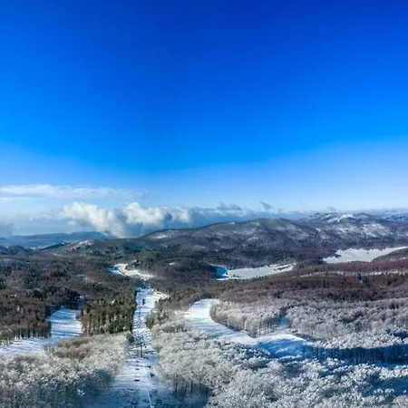 Bed & Breakfast Great Mountain