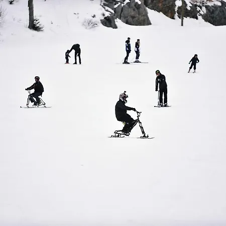 Bed & Breakfast Great Mountain Platak