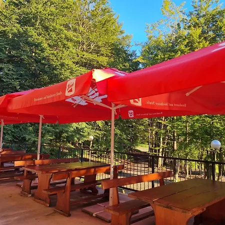 Bed and breakfast Great Mountain Platak