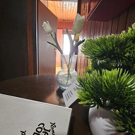 Bed & Breakfast Great Mountain Platak